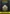 League Of Legends: Wild Rift - 10000 Wild Cores
