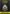 League Of Legends: Wild Rift - 4800 Wild Cores