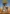 Pubg Mobile - 600 UC + 60 Bonus